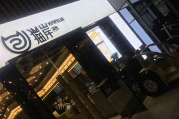 猫岸茶饮加盟