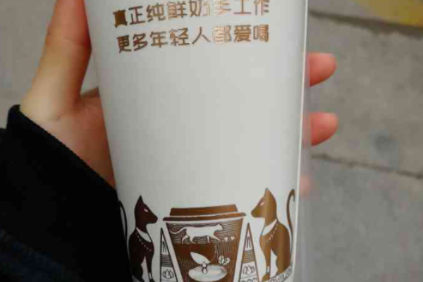 猫岸茶饮加盟