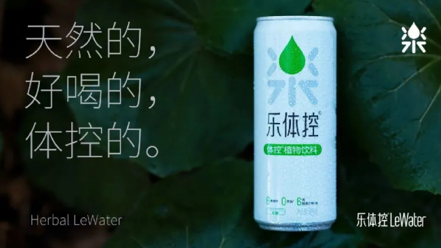 乐体控