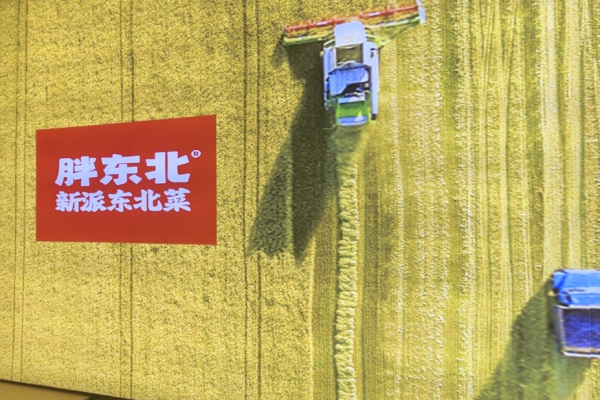 胖东北新派东北菜