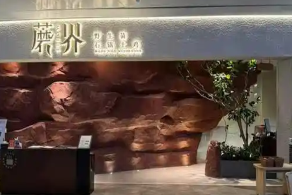 蘑界野生菌石锅鸡