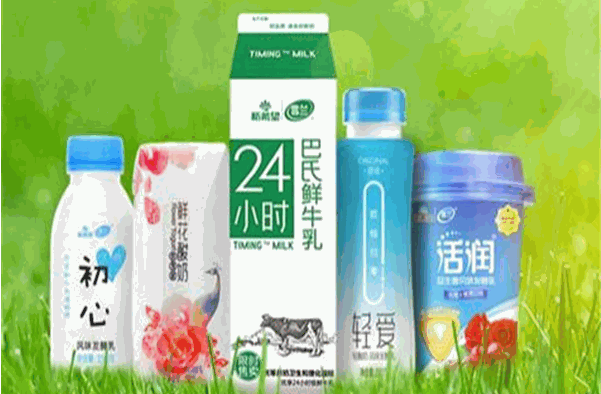 雪兰牛奶加盟