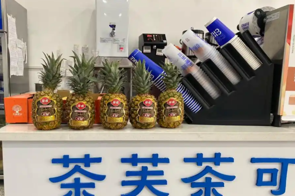 茶芙茶可加盟