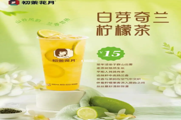 初茶花月鲜奶茶加盟