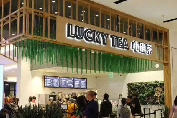 小确茶加盟