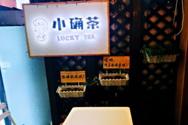 小确茶加盟