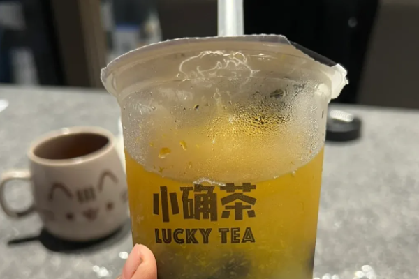 小确茶加盟