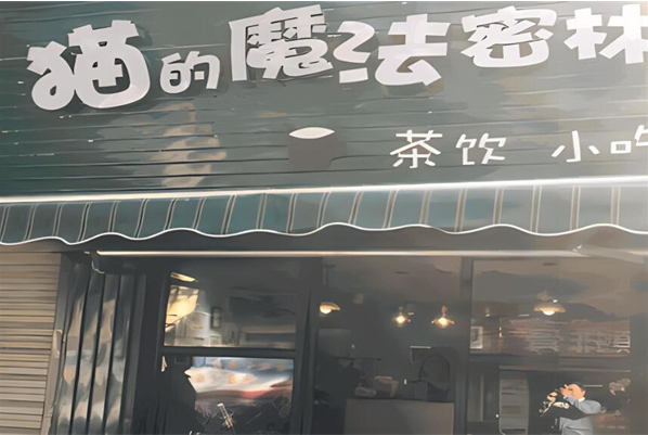 猫的魔法密林奶茶店加盟