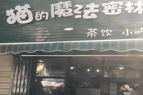 猫的魔法密林奶茶店加盟