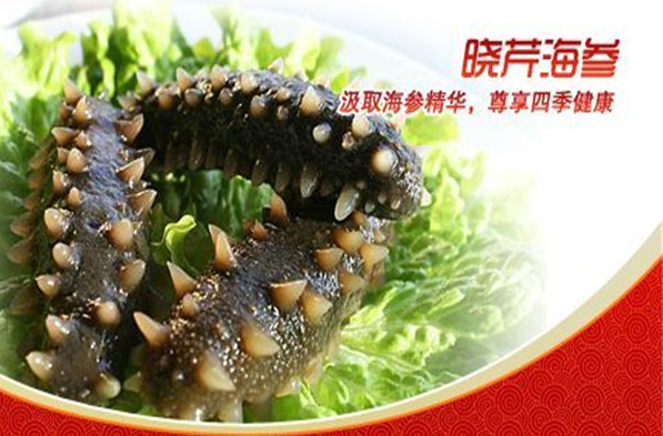 晓芹海参加盟