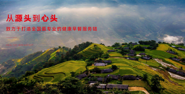 面包会飞
