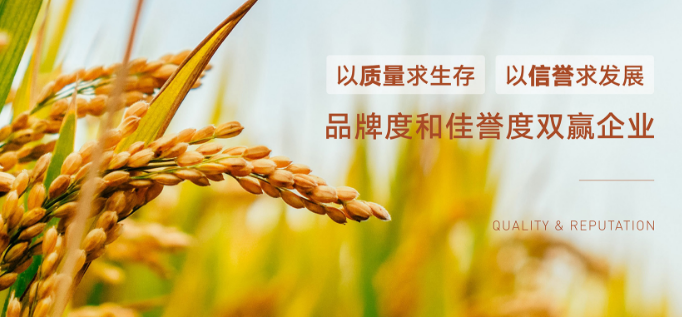面包会飞
