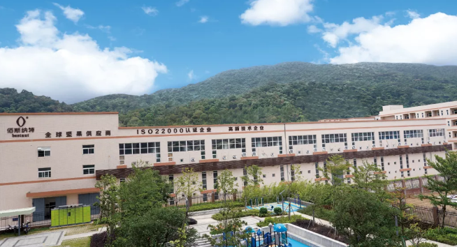 佰斯纳特坚果