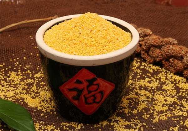 黄粱梦小米