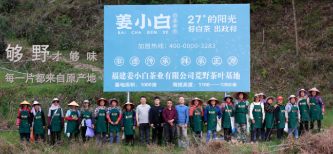 姜小白白茶