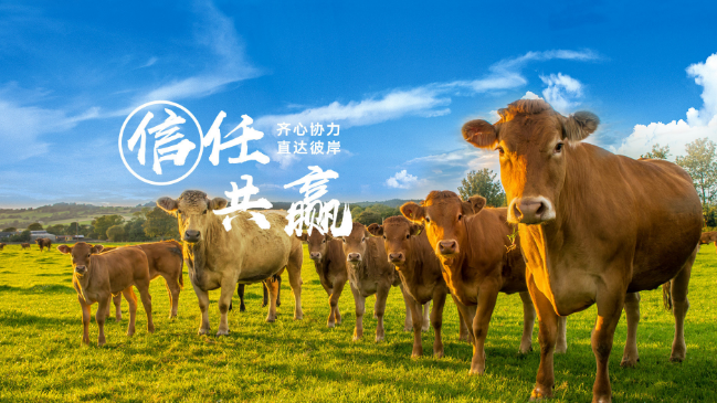 新晃黄牛肉