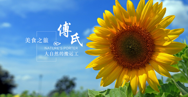 傅氏炒货