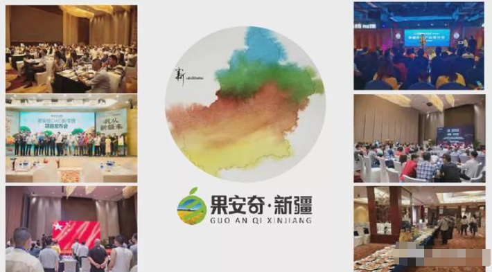 果安奇
