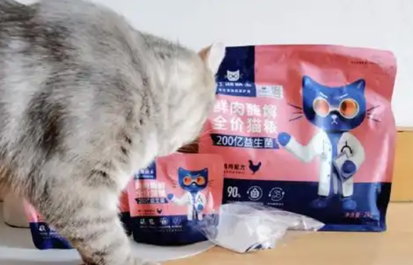 江湖萌主