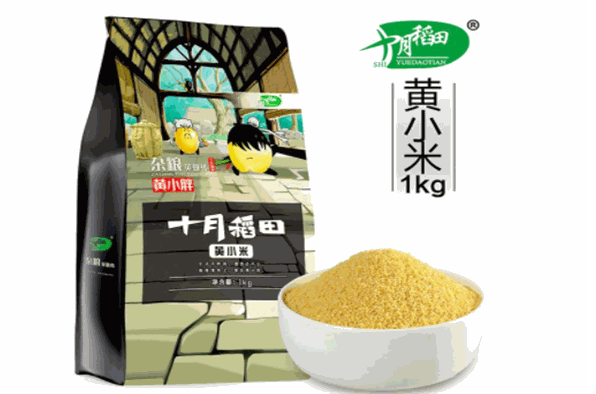十月稻田加盟