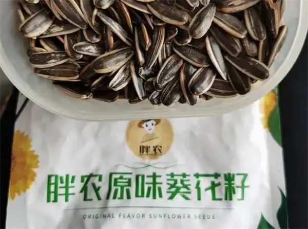 胖农瓜子加盟