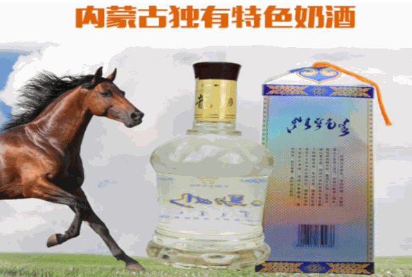 龙驹奶酒加盟