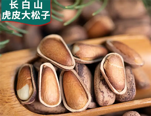 长白山鑫龙食品加盟