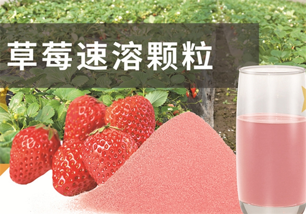 素汇食品