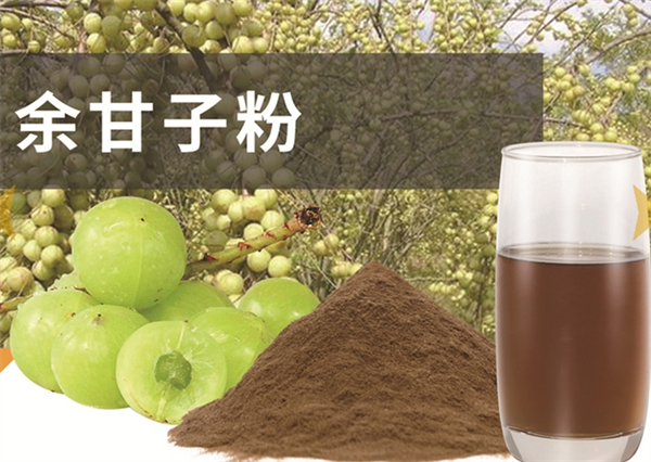 素汇食品
