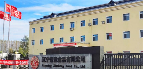 智胜食品