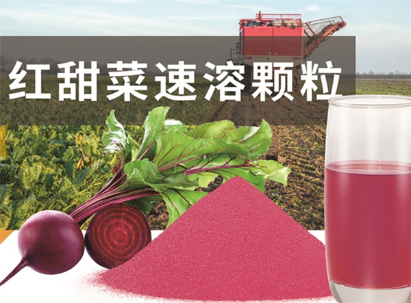 素汇食品
