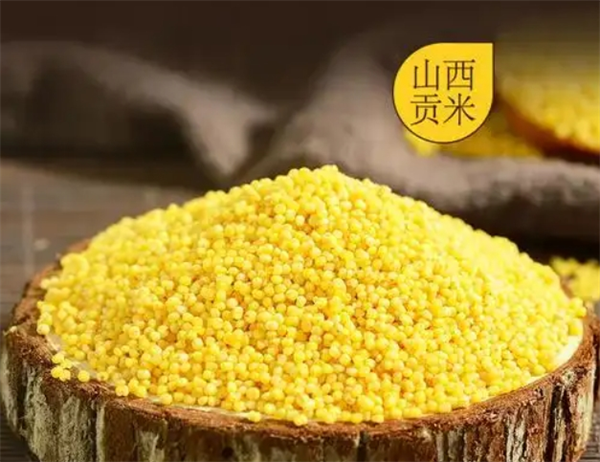 吴阁老食品加盟