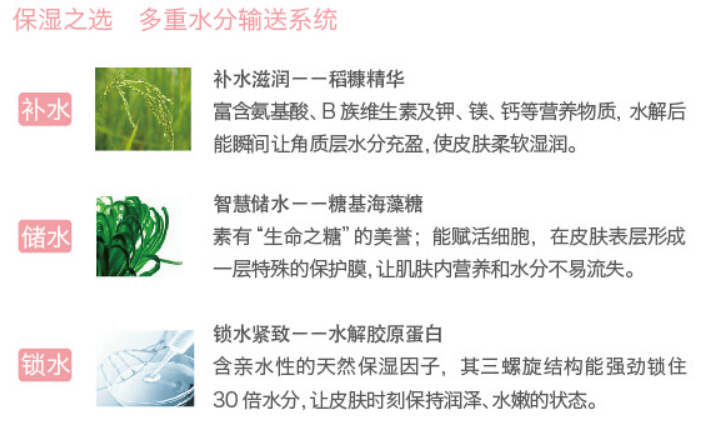 珍蕴化妆品