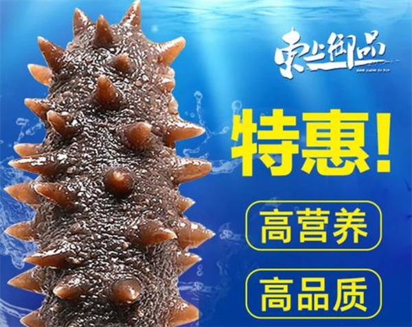 东上御品海参加盟