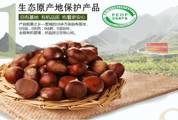 神栗食品加盟