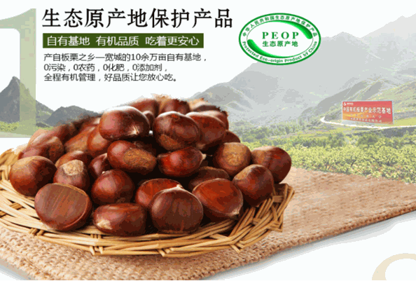神栗食品加盟