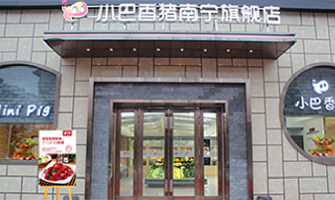 小巴香猪
