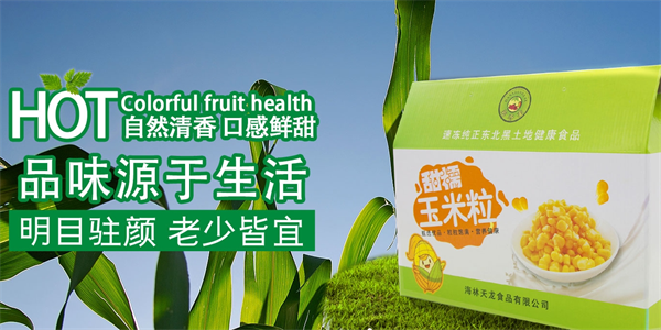 天龙食品加盟