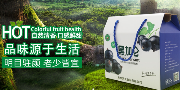 天龙食品加盟
