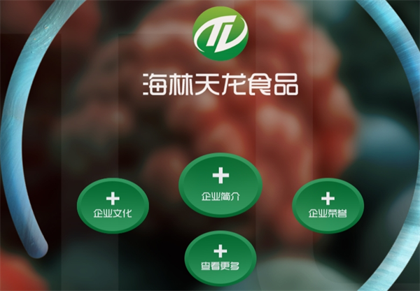 天龙食品加盟