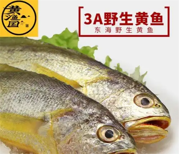 黄渔国水产食品