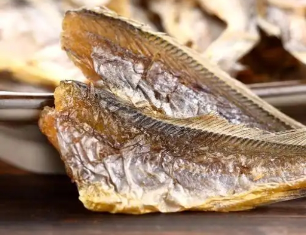鱼专家休闲食品