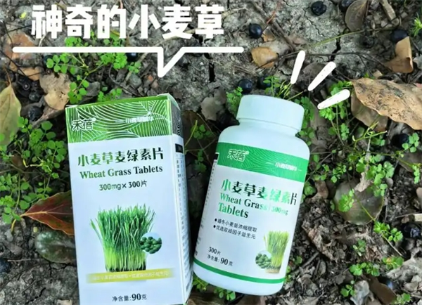 禾蓓健康产品
