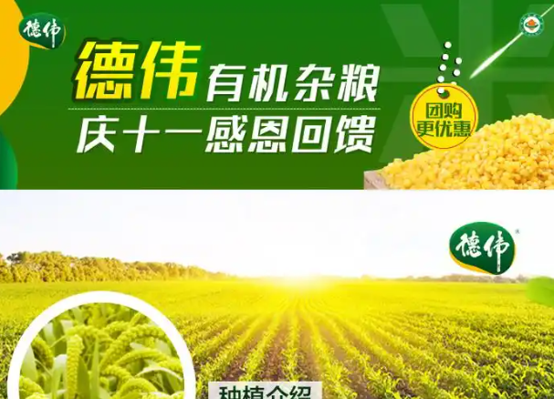 德伟米业加盟