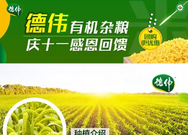 德伟米业加盟