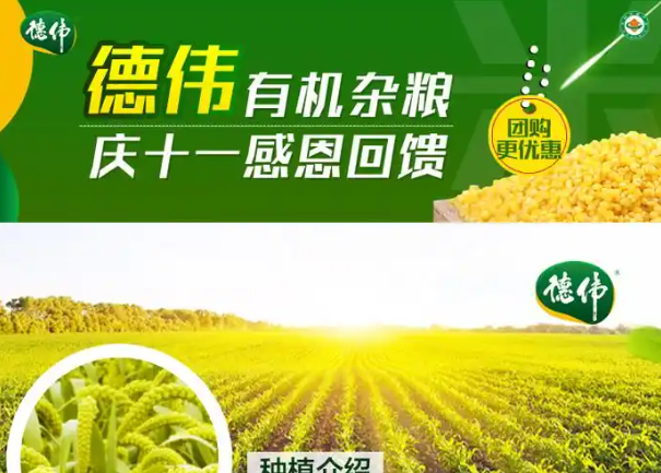 德伟米业加盟