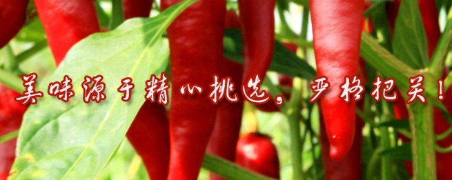 美之选食品