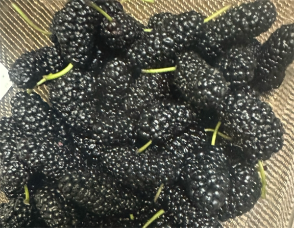 维桑水果