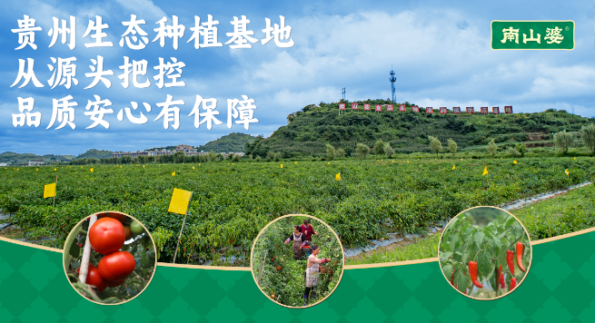 南山婆酸汤粉
