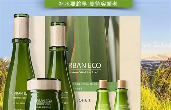 the saem 得鲜化妆品